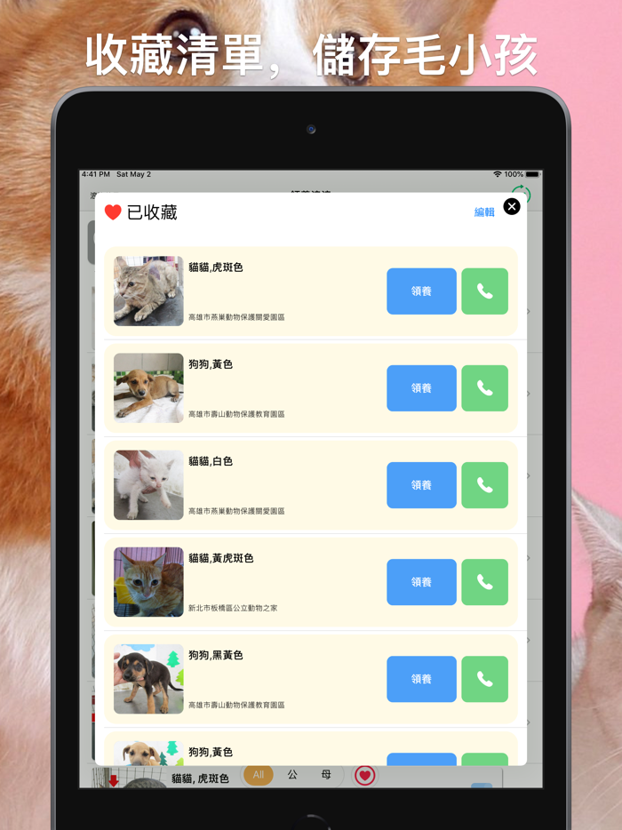 領養浪浪：即時全台流浪毛小孩