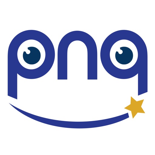 PnQ Insights