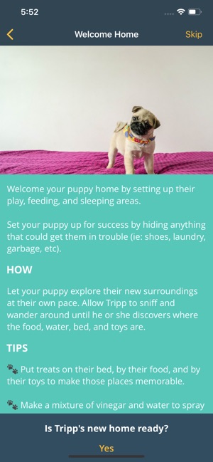 Social Puppy: Dog Training App(圖2)-速報App