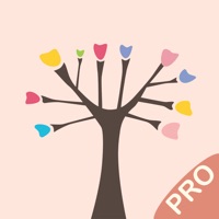 Sketch Tree Pro app funktioniert nicht? Probleme und Störung
