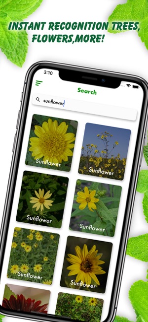 Plant Identification Lite(圖2)-速報App