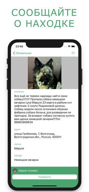 Pet RAY — поиск животных(圖2)-速報App