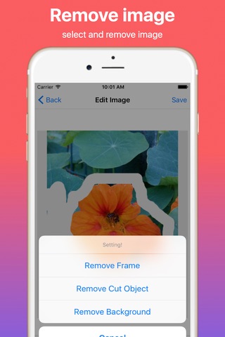 Background Image Eraser  Frame - náhled