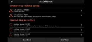 Captura de Pantalla 8 Kiwi OBD iphone