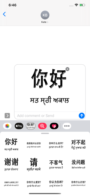 Punjabi Chinese