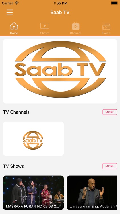 SAAB TV