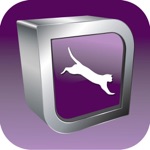 Feline Ophthalmology