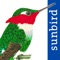 *** Planning to go bird watching in Colombia