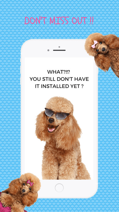 Poodle Fun Emoji Stickers screenshot 4