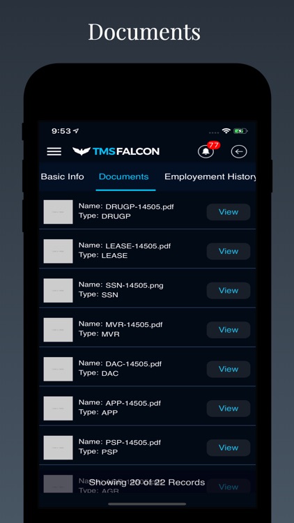 Tmsfalcon