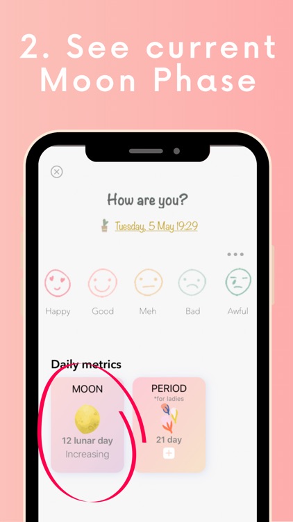 2Day Diary: Mood&Moon&Period screenshot-5