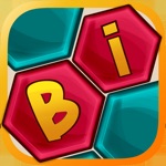 Bi Puzzle