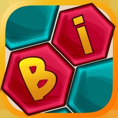 Activities of Bi Puzzle