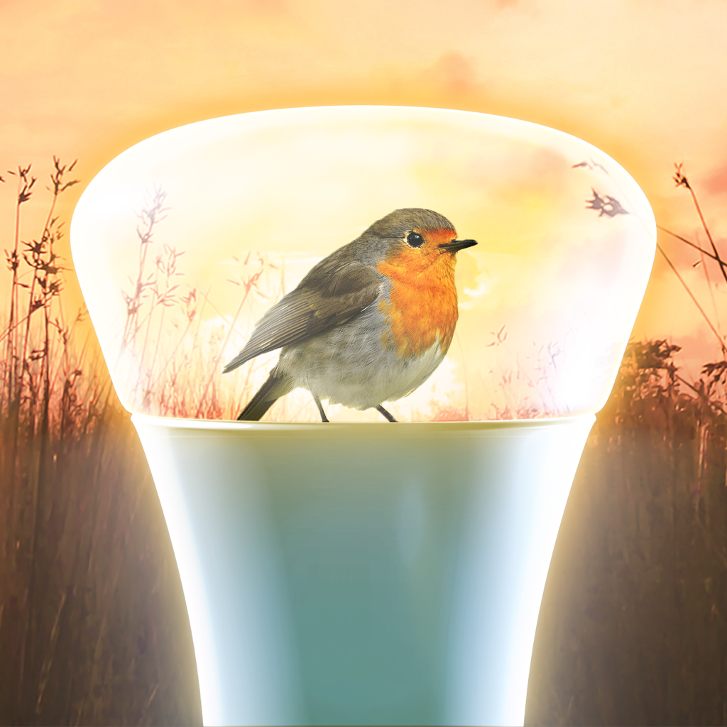 Get Hue Outdoor for iOS, iPhone, iPad Aso Report