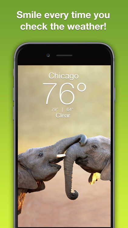 Wildlife Wallpaper Weather