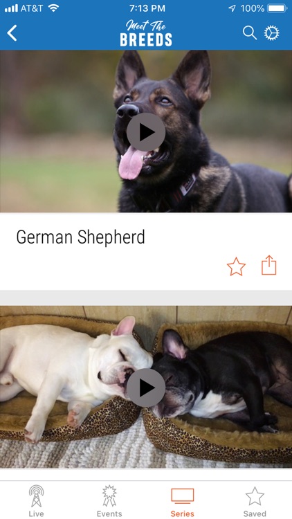 AKC.TV