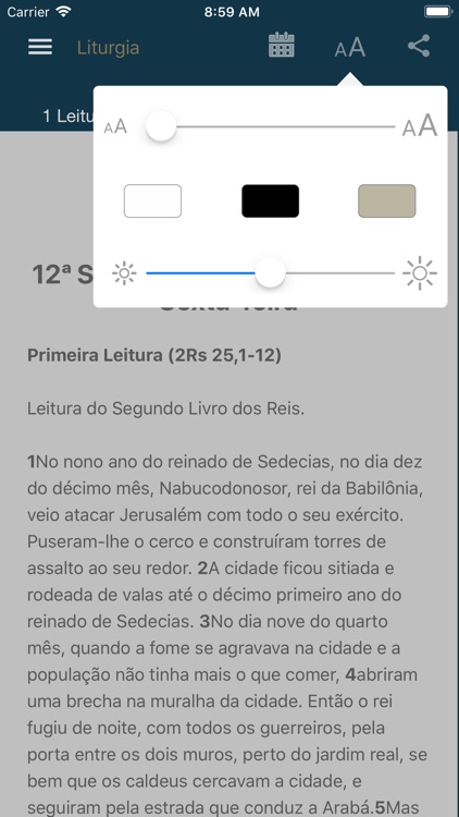 Liturgia Diária screenshot-5
