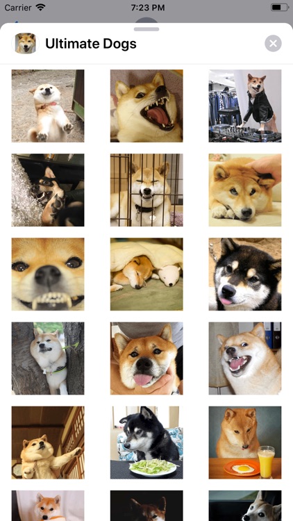 Ultimate Dogs Sticker Pack screenshot-6