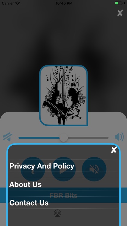 Twins Music Hits - Radio screenshot-3