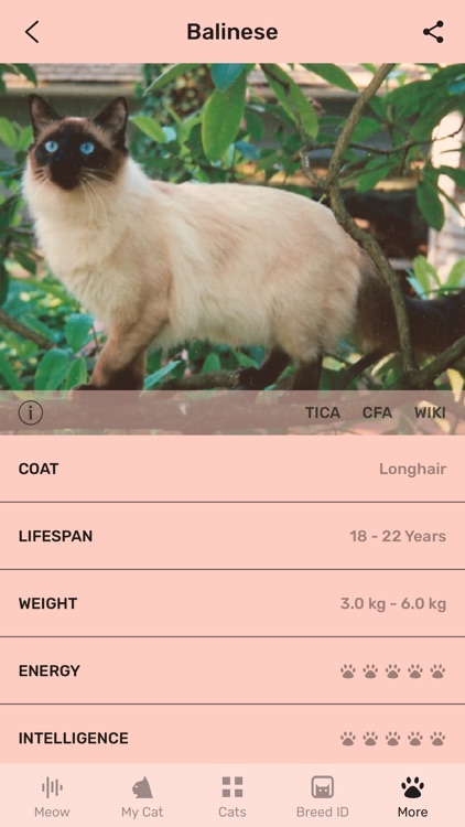 Cat App - Meowly Cats screenshot-5