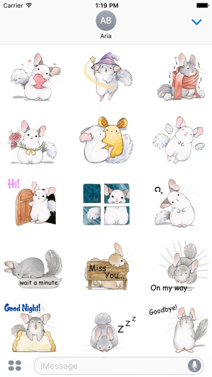 Adorable Chinchilla Sticker