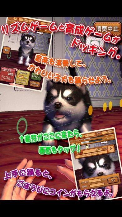 動物ダンス 子犬 screenshot1