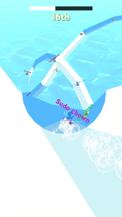 Aqua Race IO