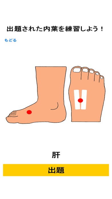 経絡のびのび体操・五臓ラジオ体操【学習キット】のおすすめ画像3