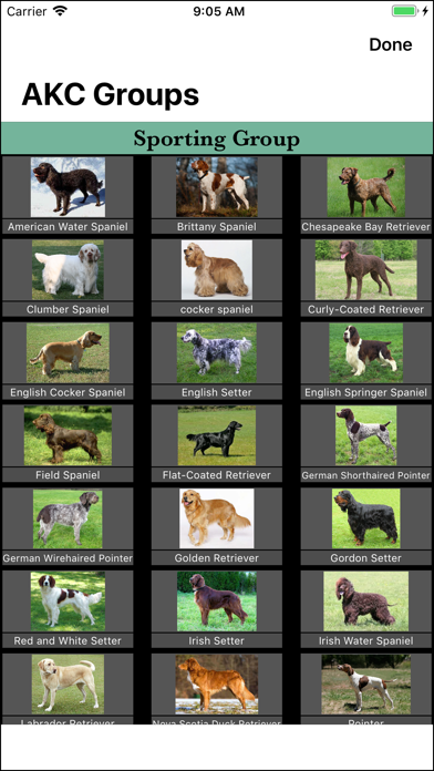 Dog Breed Identifier screenshot 4