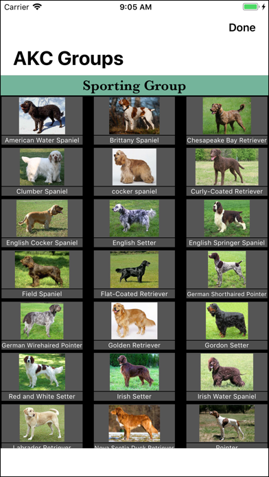 How to cancel & delete Dog Breed Identifier from iphone & ipad 4