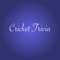 Cricket trivia is an app for cricket lovers to know and play quiz about their favourite team and players