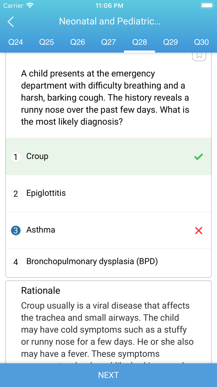 Respiratory Therapist Prep