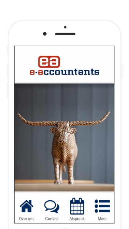 E-Accountants