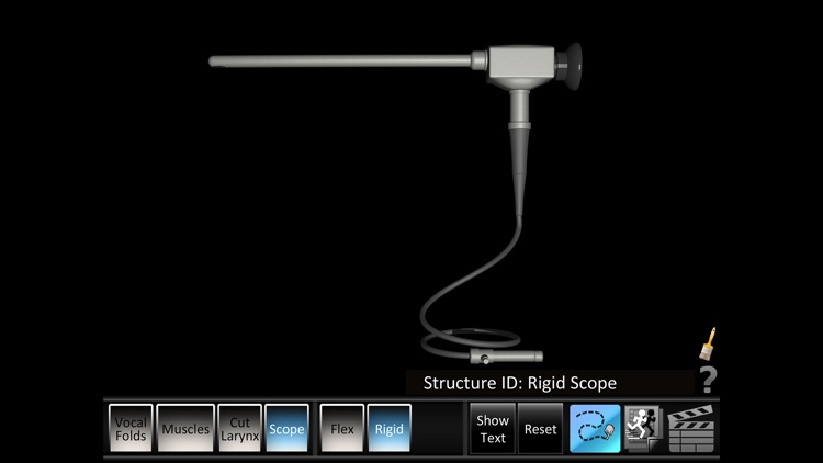 Vocal Folds ID screenshot-4