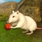 Icon Rat Simulator Games 2020