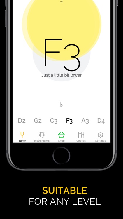 Guitar Tuner Pro-Ukulele,Bass screenshot-4