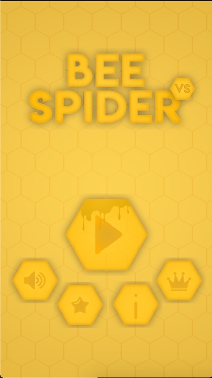 Honey Bee - Spider Puzzle