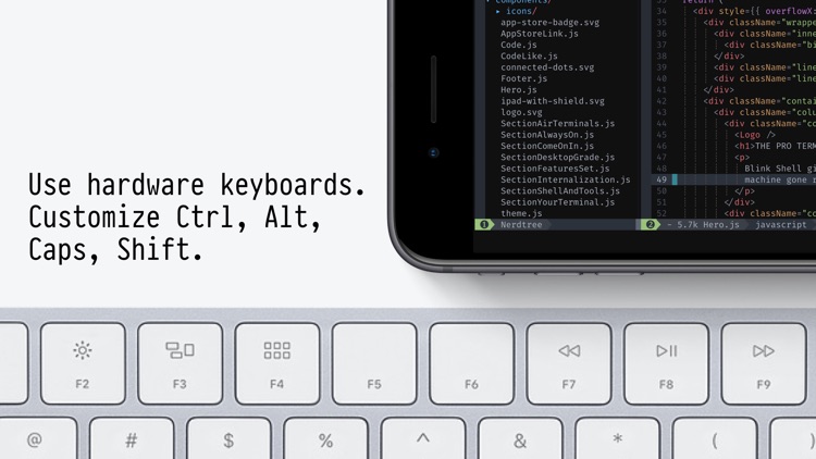 Blink Shell: Mosh & SSH Client screenshot-3