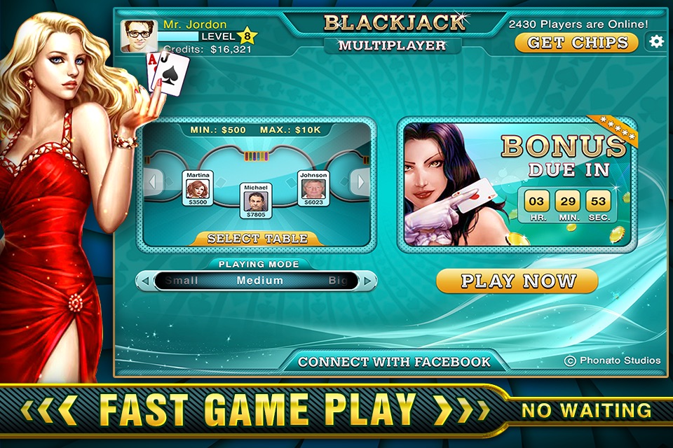 BlackJack Online - Multiplayer screenshot 3