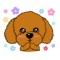 Fat and cute puppy Verate Hesoat- emoticon stickers, sell cute, play silly, funny, play cool, rich and diverse, let you chat with your friends
