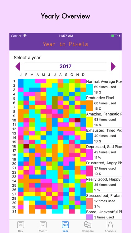 Your Year in Pixels