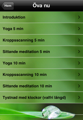 Dagliga droppar mindfulness - náhled