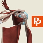 Top 29 Medical Apps Like Shoulder: 3D Real-time - Best Alternatives