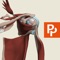 Primal's 3D Real-time Human Anatomy app for the Shoulder is the ultimate 3D interactive anatomy viewer for all medical educators, practitioners and students