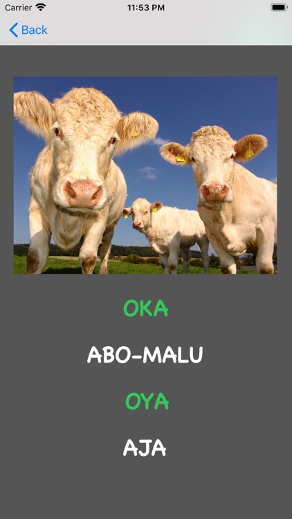 Yoruba Animal Quiz