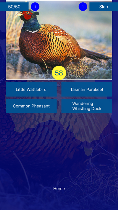 Bird Quiz - Birds of Australia screenshot 4