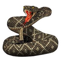 Rattlesnake Sounds and Effects pour PC