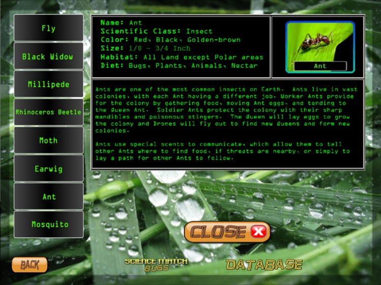 Science Match Bugs screenshot-3