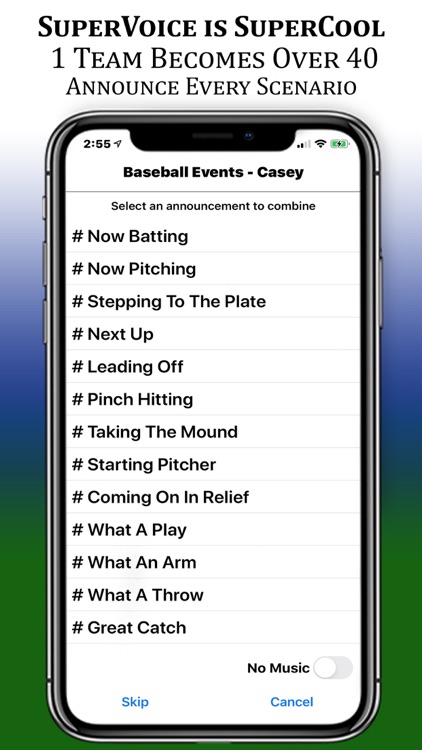 BallparkDJ Walkout Intros
