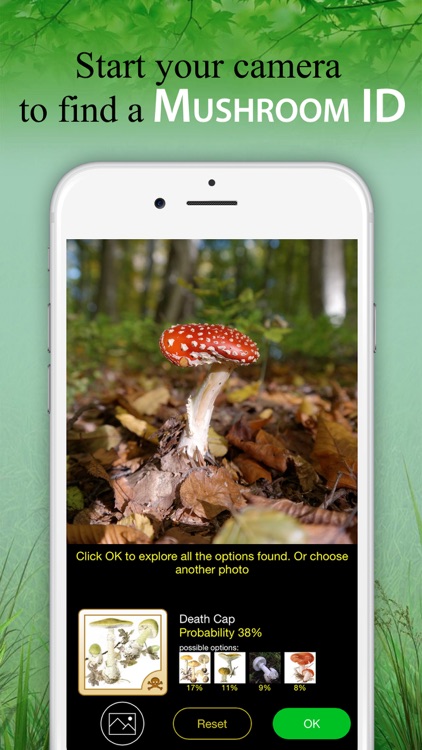 Mushroom Book & Identification screenshot-0